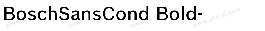 BoschSansCond Bold字体转换